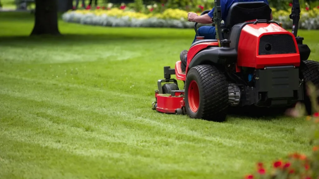 Lawn Maintenance_result